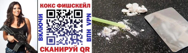 Купить где  Магадан  COCAIN Fish Scale 