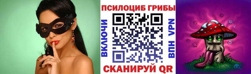 Купить закладки  Магадан  Галлюциногенные грибы GOLDEN TEACHER 